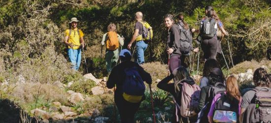 banana-trails-photo-galley-akramitis-11