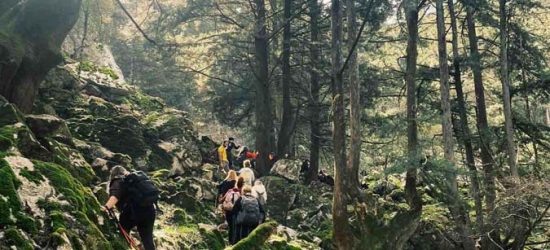 banana-trails-photo-galley-profitis-hlias-04